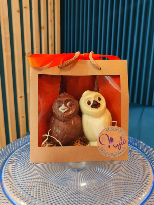 Duo de chouette