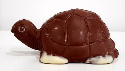 Tortue