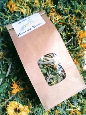 Tisane potion des nutons