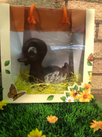 Le canard à croquer noir