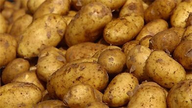 Pommes de terre nouvelles rondes