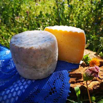 Tomme de vache