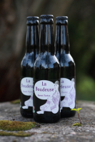 Carton de 12 bières brunes