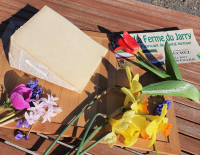 Cantal  aop fermier jeune