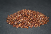 Maniguette, poivre de guiné