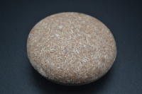 Shampoing cheveux terne