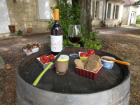 Vinibag de 5l de rosé comme clairet