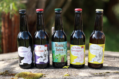 Carton mixte de 12 bières margot