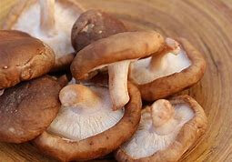 Shiitake