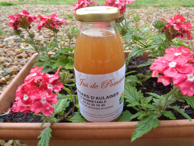 Jus de pommes