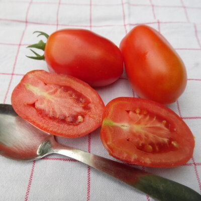 Tomate roma plant (mi-précoce)