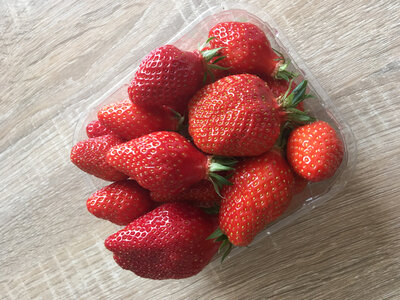 Fraises gariguette