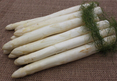Botte d'asperges cat.1  gros calibre