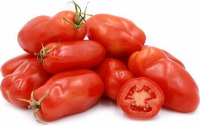 Tomate pomodoro san marzano