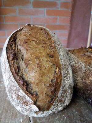 Pain au noix