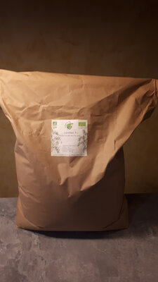 Lentilles vertes bio 25 kg