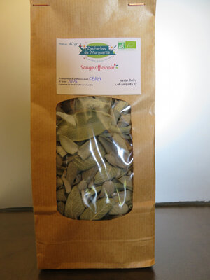 Sauge officinale