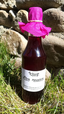 Sirop mûre sauvage