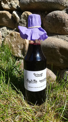 Sirop myrtille sauvage