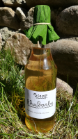 Sirop rhubarbe