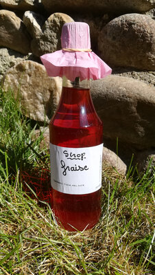 Sirop fraise