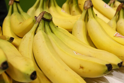 Banane  cavendish