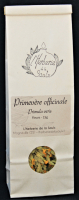 Primevère officinale