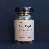 Hysope