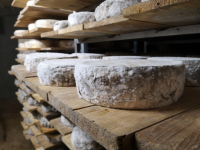 Tomme fermière