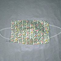 Masque homologué  triangle vert