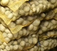 Pomme de terre bio chair fondante