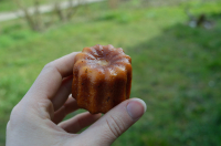 Cannelé