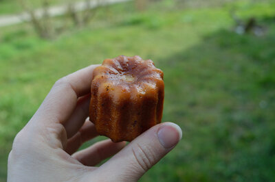Cannelé