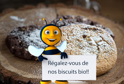 Pack biscuits secs