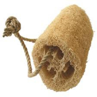 Eponge courge luffa