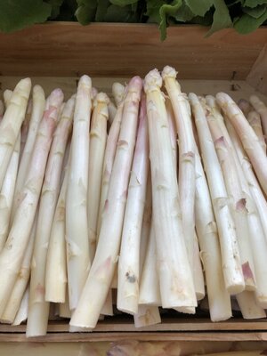 2 kilos d‘asperges blanches fines