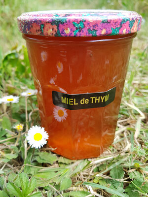 Miel de thym