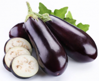 Plant aubergine godet 7 cm