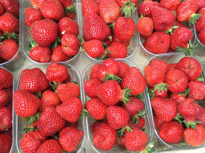 Fraises rondes