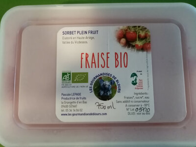 Sorbet framboise plein fruit