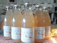 Jus de pommes bio
