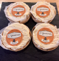 L'yssoirien aux morilles