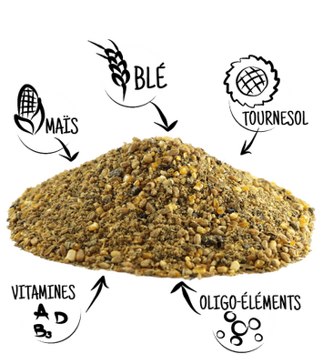 Aliment poule pondeuse bio élevage