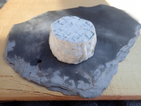 Crottin de chèvre demi sec cendré