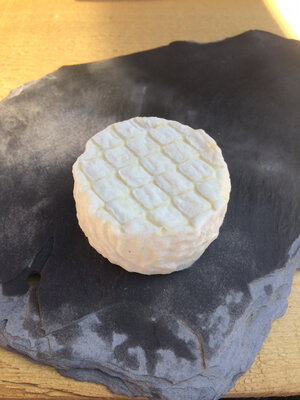 Crottin de chèvre demi sec