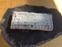 Brique de chèvre cendré