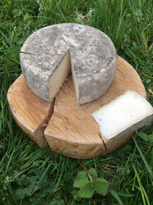 Tommette de chèvre