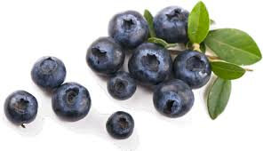 Sirop de myrtilles-