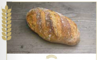 Pain de l'ill bio (ellbrot)