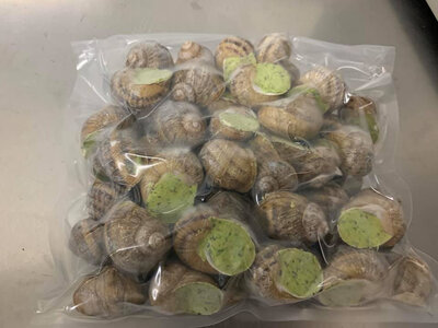 Pochon de 50 coquilles surgelées